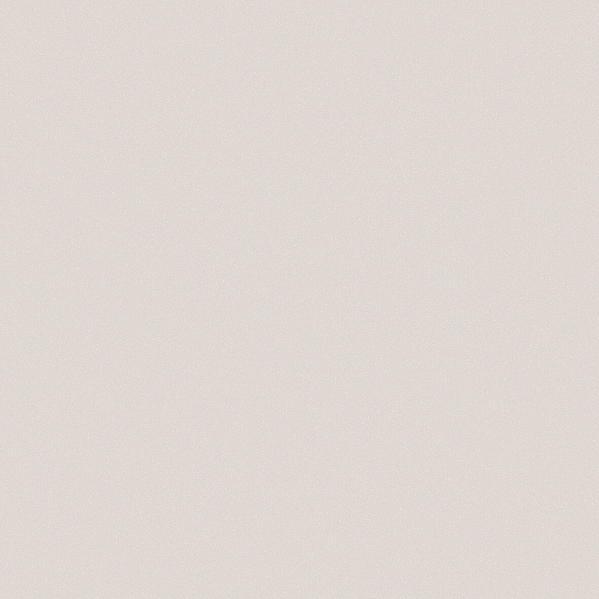 ALVIC Cashmere MD ZENIT super-matt warm greige panel sample