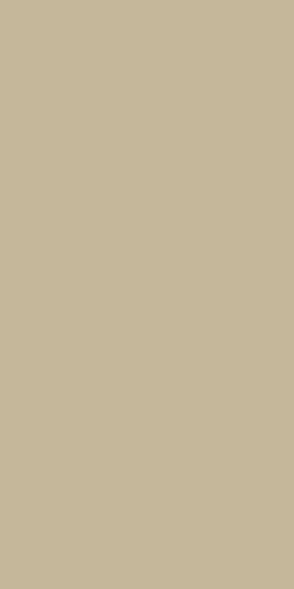ALVIC Ginger golden brown panel sample in ZENIT super matt