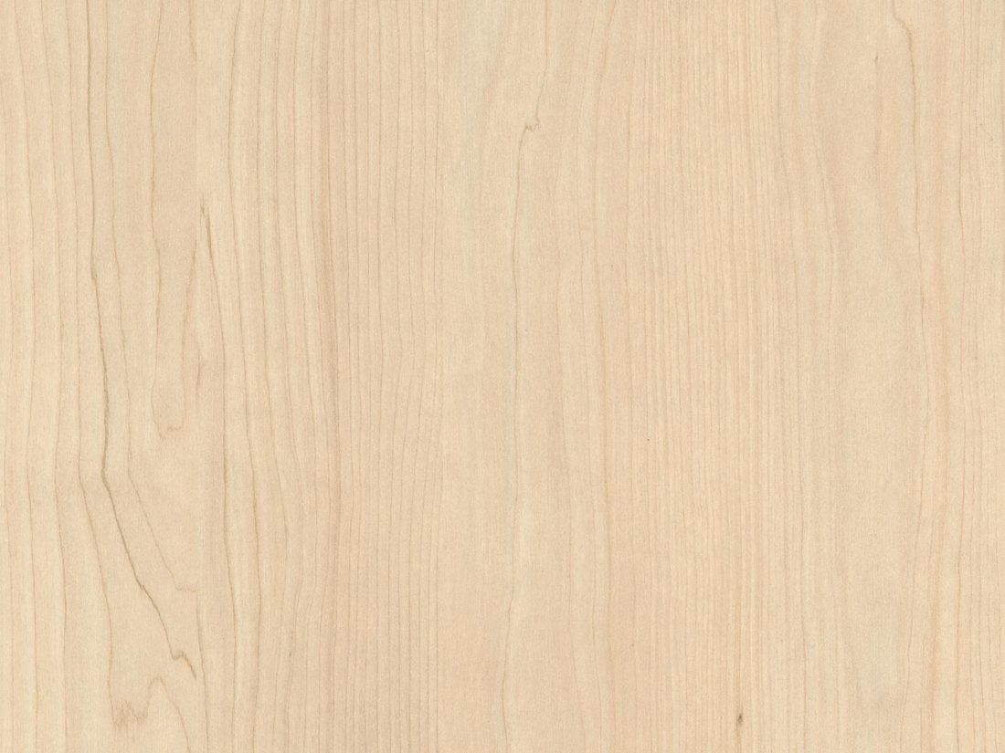 EGGER H1732 ST9 Sand Birch — woodgrain reproduction panel decor for custom cabinetry (close-up)