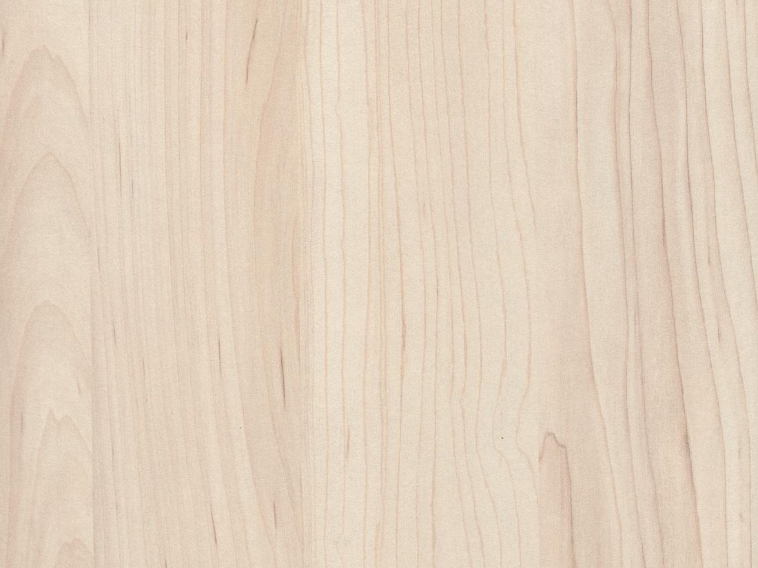 EGGER H3860 ST9 Champagne Hard Maple — woodgrain reproduction panel decor for custom cabinetry (close-up)