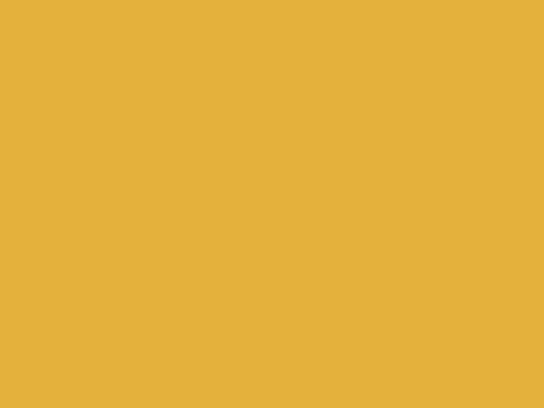 EGGER U163 ST9 Curry Yellow — uni colour panel decor for custom cabinetry (board scan)