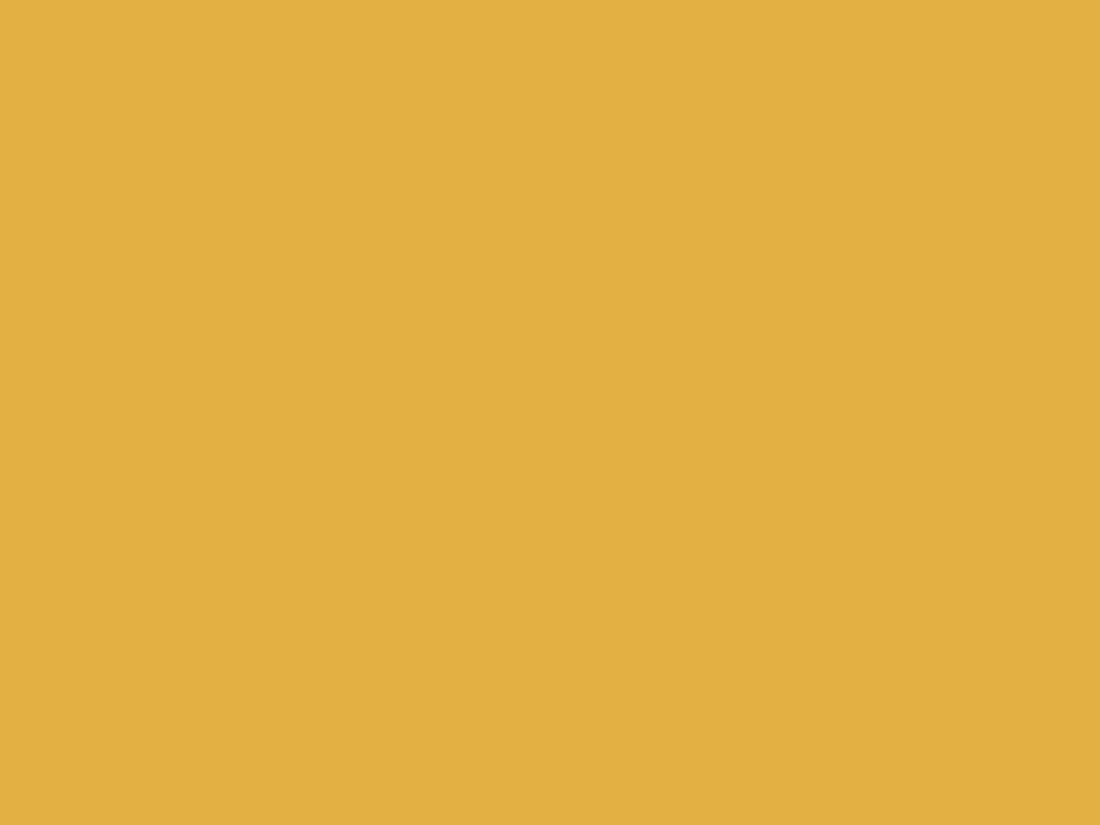 EGGER U163 ST9 Curry Yellow — uni colour panel decor for custom cabinetry (close-up)