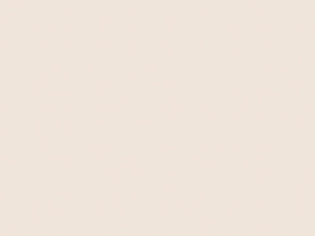 EGGER U220 ST9 Soft Beige — uni colour panel decor for custom cabinetry (board scan)