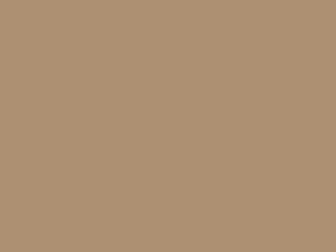 EGGER U250 PM Caramel Beige — uni colour panel decor for custom cabinetry (board scan)