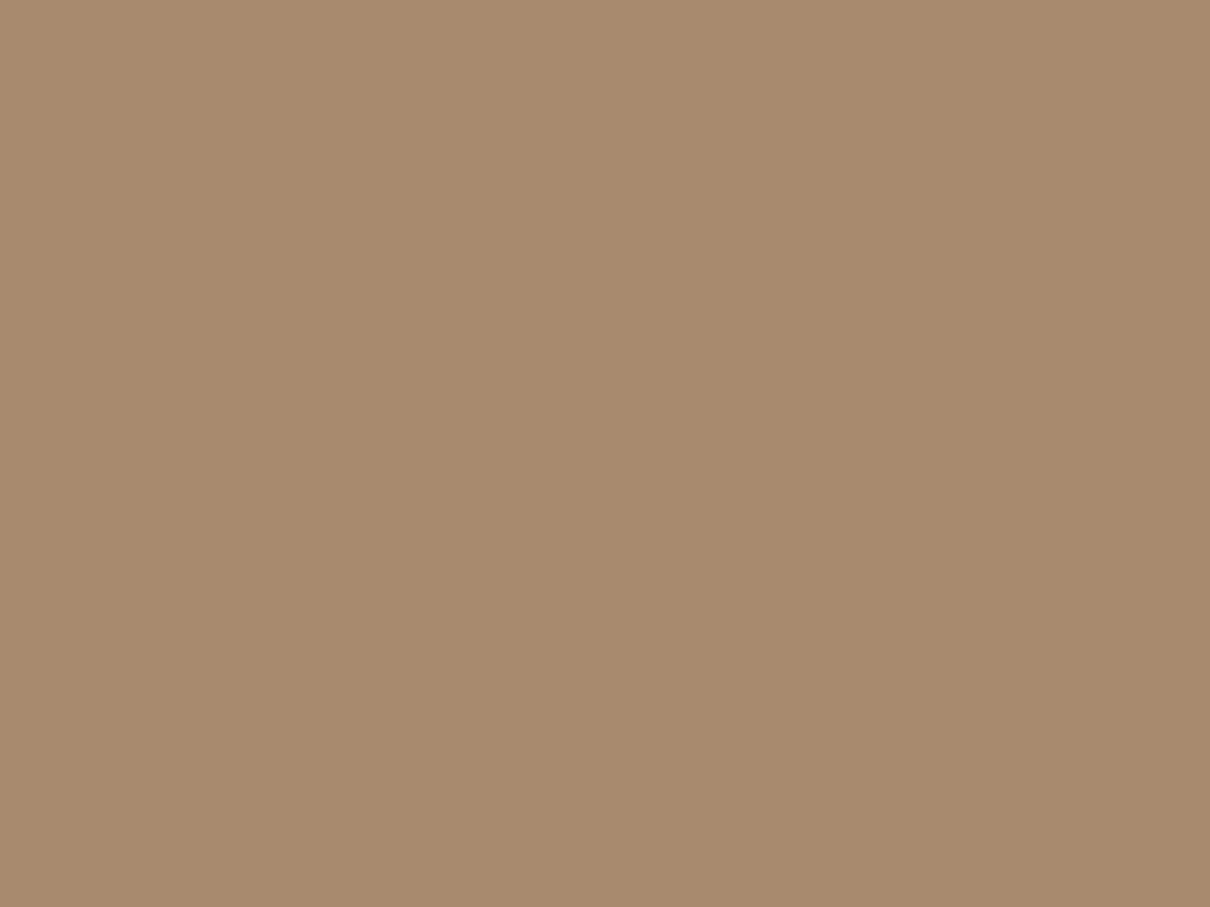 EGGER U250 TM Caramel Beige — uni colour panel decor for custom cabinetry (close-up)