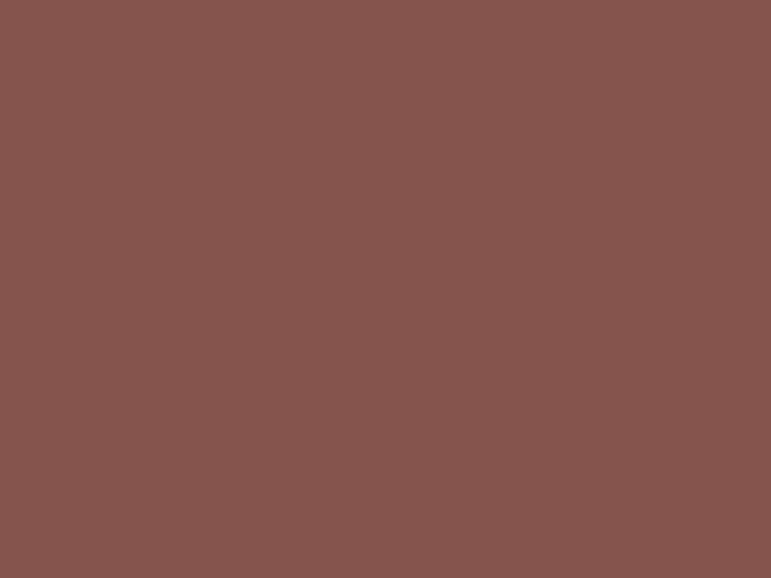 EGGER U335 ST9 Rusty Red — uni colour panel decor for custom cabinetry (close-up)
