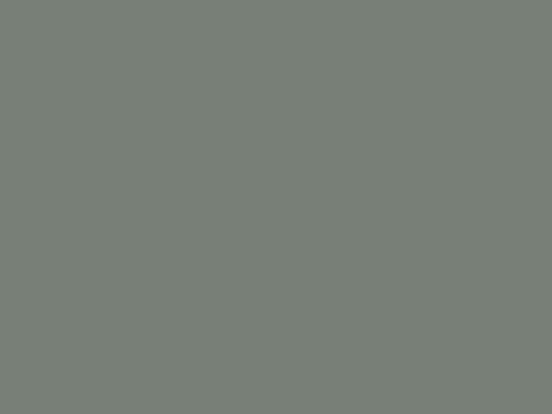 EGGER U604 ST9 Reed Green — uni colour panel decor for custom cabinetry (board scan)