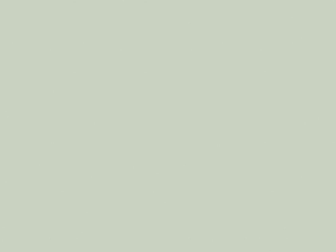 EGGER U608 ST9 Pistachio Green — uni colour panel decor for custom cabinetry (board scan)