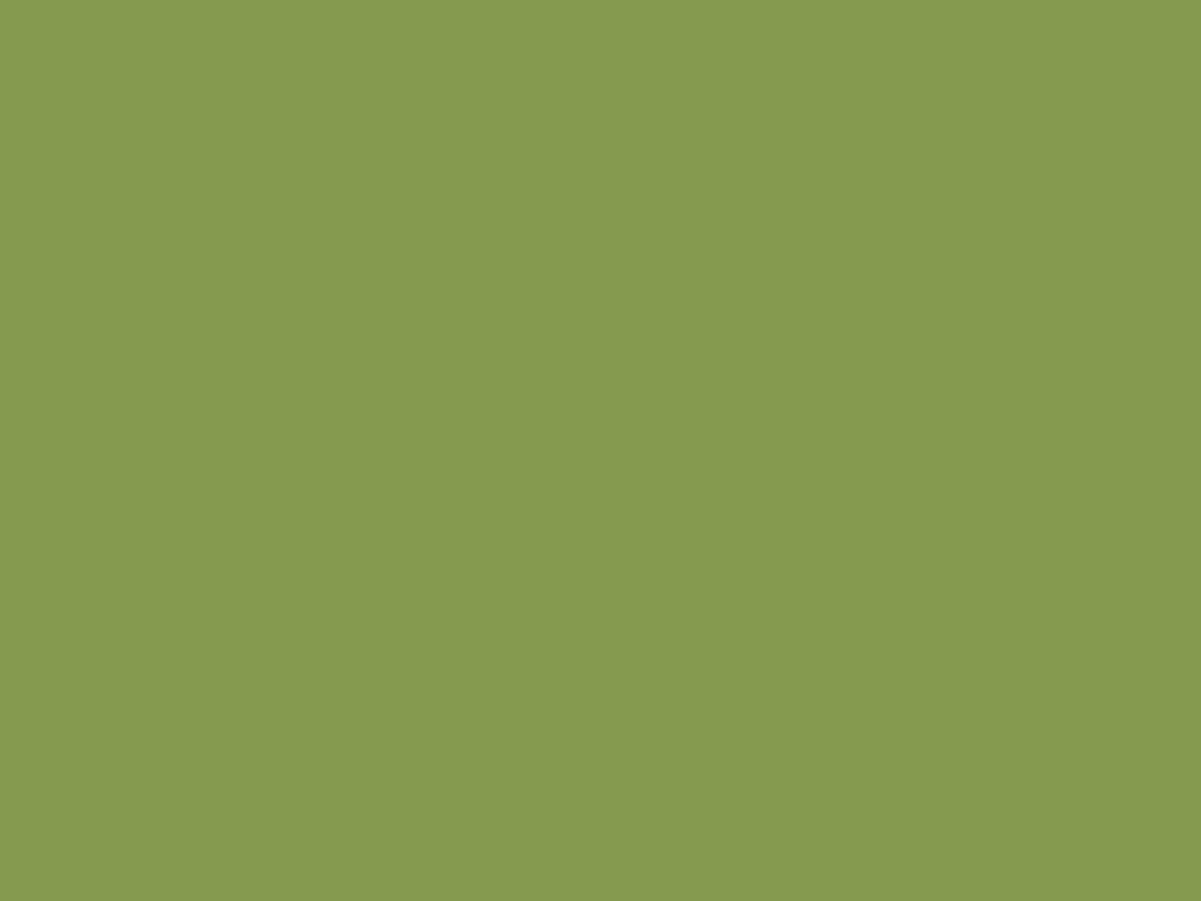 EGGER U626 ST9 Kiwi Green — uni colour panel decor for custom cabinetry (close-up)