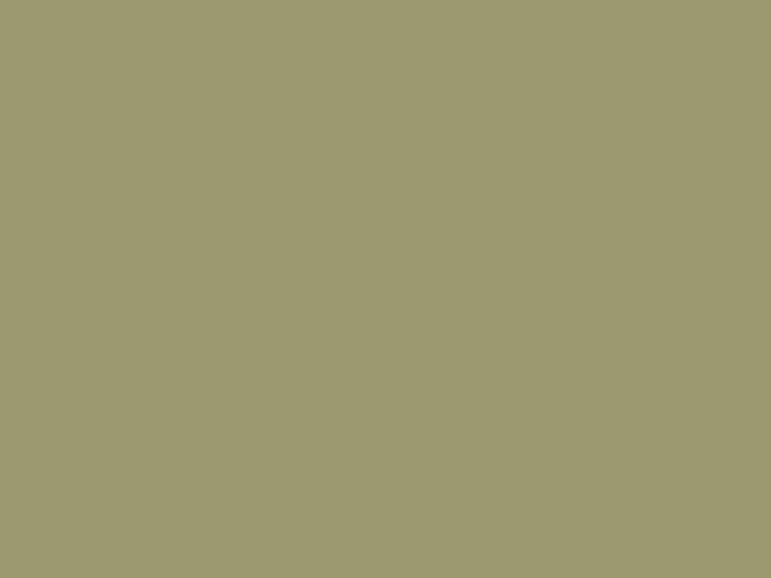 EGGER U640 ST9 Olive Green — uni colour panel decor for custom cabinetry (board scan)