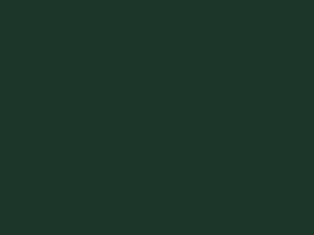 EGGER U699 ST9 Fir Green — uni colour panel decor for custom cabinetry (board scan)