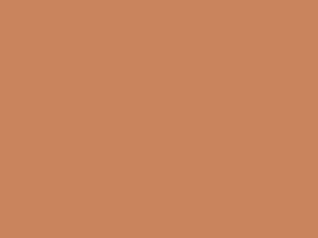 EGGER U830 ST9 Caramel Nude — uni colour panel decor for custom cabinetry (board scan)