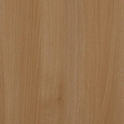 Beach Memories L491 Tafisa TFL in Smoothwood texture — Prélude series panel for custom cabinetry
