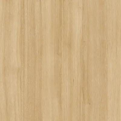 Sheer Beauty L581 Tafisa TFL in Karisma texture — Prélude series panel for custom cabinetry