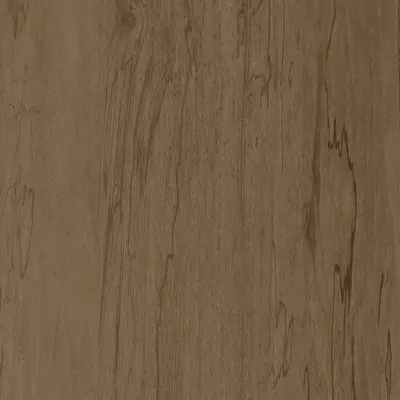Salt of the Earth L589 Tafisa TFL in Karisma texture — Prélude series panel for custom cabinetry