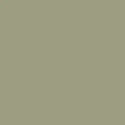 Sage Leaf PM779 Tafisa lacquered panel in Perfect Matt texture — LUMMIA series panel for custom cabinetry