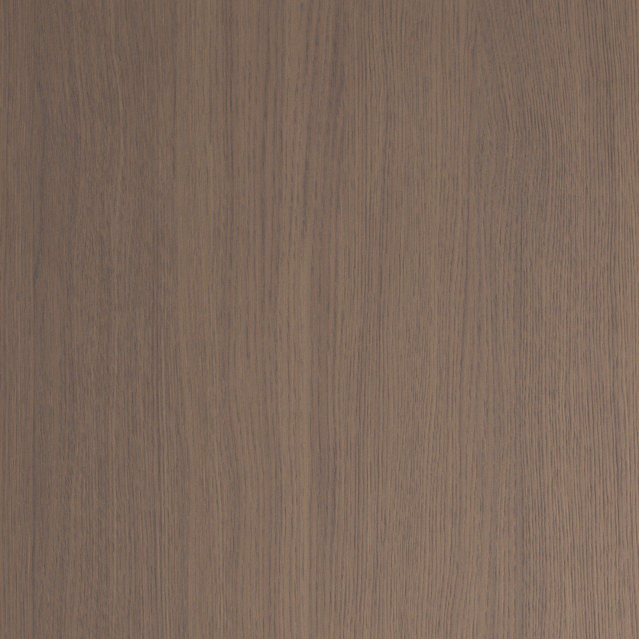 Master Oak natural copper 0H926 rift oak cabinetry panel — iKitchen Cabinetry (surface, angled)